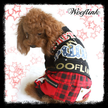 WOOFLINK　A032　PRETTY IN PUNK